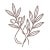 naturalidade-icon